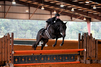 Pre-Child/Adult Equitation