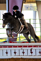 Short & Long Stirrup